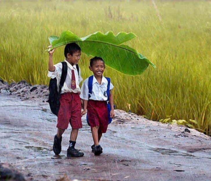 Dos niños felices caminando bajo la lluvia cubriéndose con una hoja de palmera. Felicidad y economía.